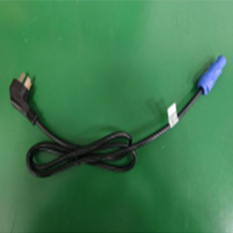 Pin-shaped power cord